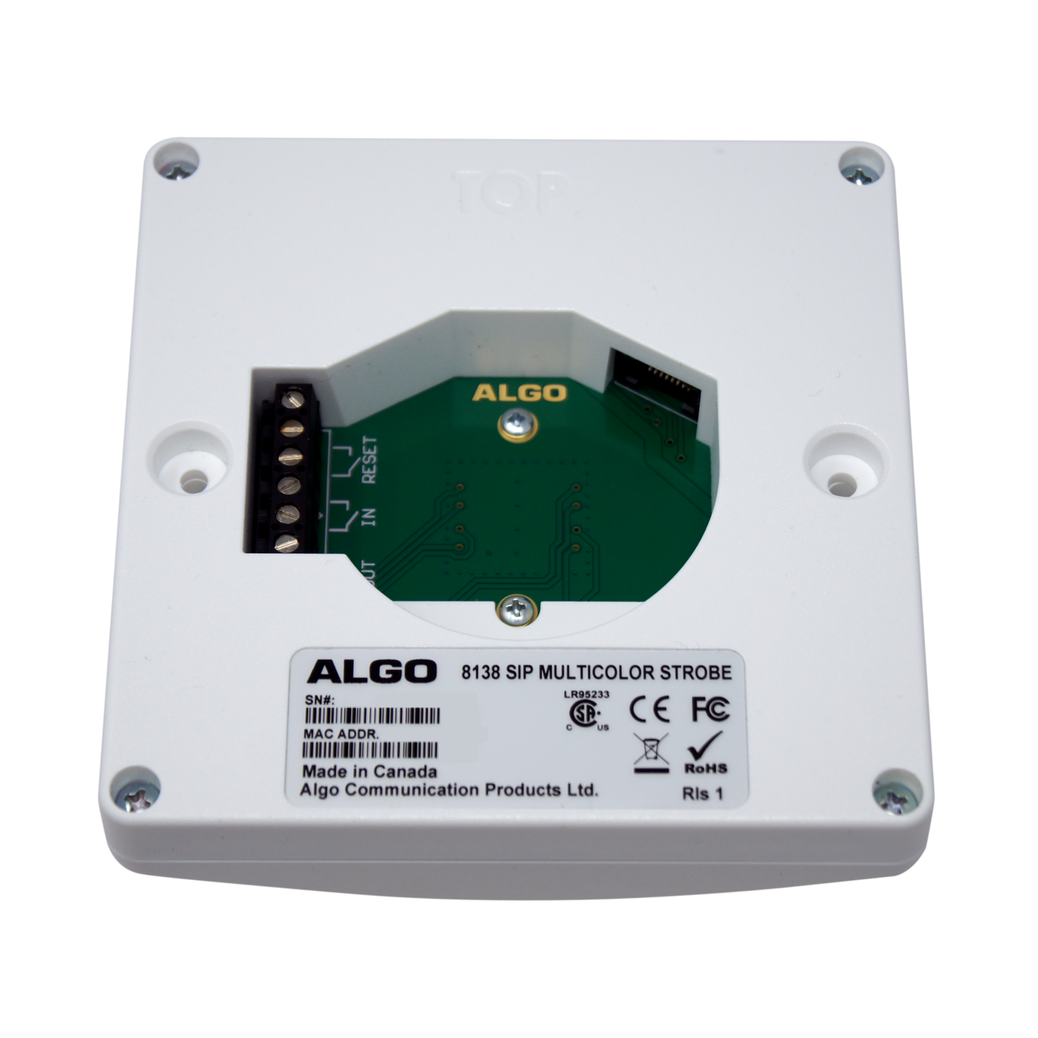 Algo 8138